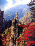 일만이천봉이 단풍으로 곱게 물들은 금강산