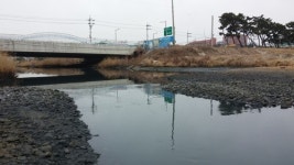 포항 죽천교 밑 폐수, 바다로 ‘콸콸’