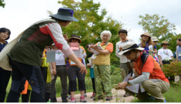 숲해설 경연대회, 23일부터 경주엑스포서 ‘팡파르’
