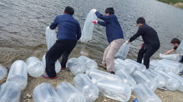 포항 청하면사무소, 유계저수지에 잉어 등 방류