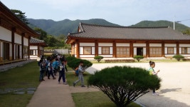 < 특 집 > 400년을 지켜온 덕동마을에 울창한 숲ㆍ고택들