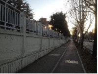 경북대 담장 대신 거리 숲 조성