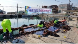 丙申年‘新양식업 육성’, 어민경제 되살린다