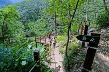 신선들의 놀이터! 울진 신선계곡