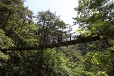 신선들의 놀이터! 울진 신선계곡