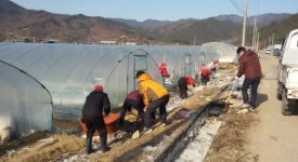 폭설·도로 결빙…긴급 제설작업에 ‘구슬땀’