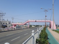 동촌육교와 송도2육교에 봄이 왔어요~