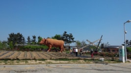 “수확의 기쁨 느껴요”