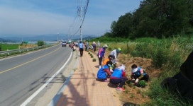 성주군, 아름다운 마을가꾸기 사업 주민 손으로 시작