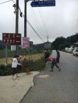 이산면 관변단체 대대적인 도로변 정비