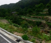 의성 안평 솔티세천 재해위험 정비공사