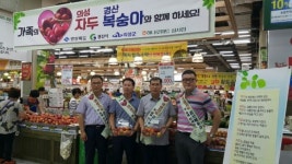 의성군,‘의성자두’판매촉진을 위해 발벗고 나서 !