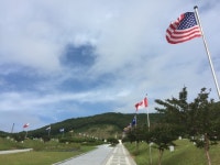 국립영천호국원내  6·25 참전국 국기 펄럭