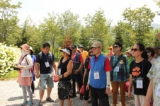 토마토를 오감으로 느끼자