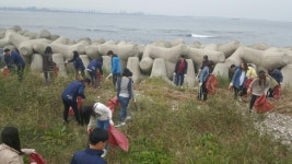 포항 남구청, 해안변 자연발생유원지 자연정화활동
