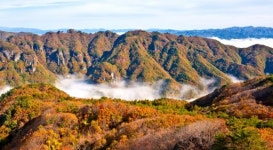 청량산도립공원, 특별관리 추진