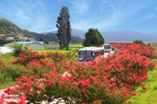 ‘백암온천서 풍류에 젖다’