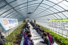 과학영농 시범재배 ‘기대’