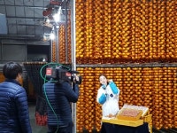 “여기는 곶감의 본향 상주입니다”