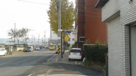 보행자 눈높이에 ‘쏘옥’ …영천, 도로명판 추가 설치