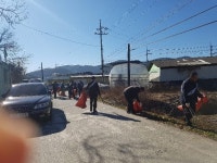 고령군 개진면 실버봉사단체회원 환경정화 봉사활동 