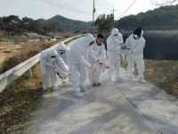 봉화, 구제역과의 전쟁 선포