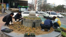 구미 형곡1동, 봄꽃 1천500본 식재