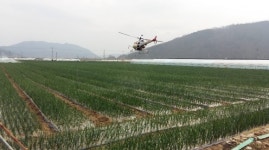 양파ㆍ마늘 병해충 이젠 걱정 NO! 