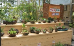 성주, 가야산야생화식물원 알리기 ‘힘’