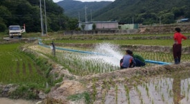 극심한 가뭄…고령, 용수공급 ‘사활’