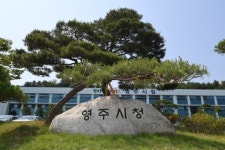 영주, 불법전용 산지 임시특례법 시행