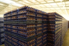 국내산 계란 안전관리 강화 ‘총력’