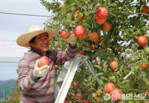 (포토) 수확의 기쁨