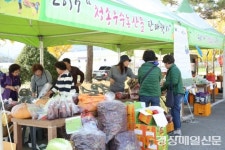 청송 강소농 우수농산물 홍보행사 ‘성료’