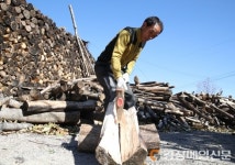 (포토) 겨울나기 준비