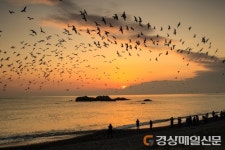 경주바다 매력 프레임에