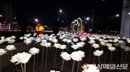 포항서 밤바다 보고 빛나는 장미도 보자