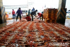 울진군 ‘선제적 투망’ …명품 대게 잡이 시작