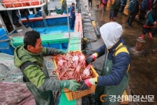 울진군 ‘선제적 투망’ …명품 대게 잡이 시작