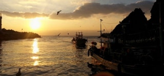 2018년 무술년, 만선의 꿈을…