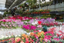 (포토) “동장군이 제 외모를 질투하나 봐요”…혹한 속 立春