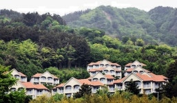 ㈜제이에이치페리-㈜대아울릉리조트 선박ㆍ숙박 동시 할인 공동 이벤트 진행