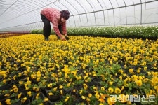 (포토)“빨리 밖으로 나가고 싶어요”