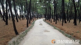 송도 솔밭, 쾌적한 공간 ‘탈바꿈’