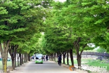 문경새재관리소, 친환경 전기車 운행