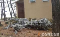 [카메라 고발]  “저는 송림 화장실 지킴이 솔이 랍니다”