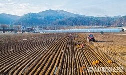 안동 고천농장 파종작업 ‘풍년농사 기대’ 