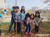 운동장 울타리 주변 무궁화 식재 성주 도원초, 학생 애국심 고취