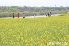 ‘금호강 하중도’ 자연생태섬으로 조성한다