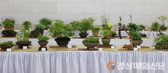 야생화협회 포항시지부, 야생초 회원전